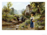 Buy Bluebells at AllPosters.com