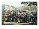 Buy The Grape Harvest at AllPosters.com