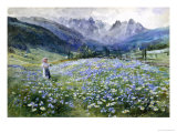 Alpin Meadow