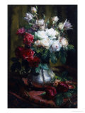 Red and White Roses