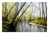 Buy Solitude at AllPosters.com