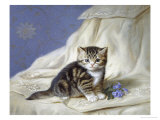 Forget-Me-Not