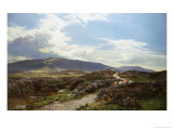 Perthshire Moor