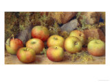 Buy Still Life of Apples at AllPosters.com