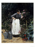 In the Rose Garden