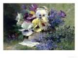 Pansies and Forget-Me-Not