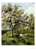 Springtime