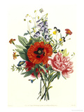Bouquet of Foxglove, Poppy and Peonie