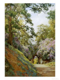 Flowery Glade