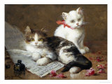 Young Feline Author