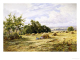Buy Hampshire Cornfield at AllPosters.com
