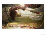 Buy The Sleeping Beauty at AllPosters.com