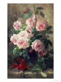 Still Life of Pink Roses
