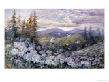 Rhododendrons and Butterflies