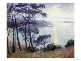 Buy Pine Trees at the Seashore at AllPosters.com
