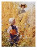 Buy The Poppy Field at AllPosters.com