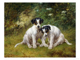 Buy Inquisitive Pair at AllPosters.com