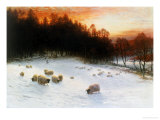 Winter Sunset