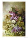 Study of Lilac