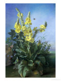 Yellow Flowers Before a Blue Sky