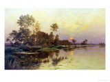 Hazy Sunshine