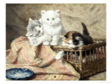 Playmates