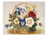 Pansies in a Basket