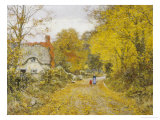 Autumn Lane