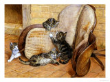 Kittens Playing