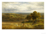 Harvesting near Barrow, Derby