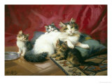 Cosy Family