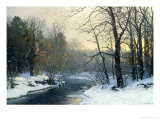 The Woods in Silver and Gold