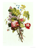 Buy Bouquet of Rose, Lilac and Auricula at AllPosters.com