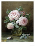 Pink Roses in a Glass Vase
