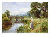 Buy Poppies on the Riverbank at AllPosters.com
