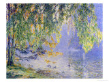 Buy Summer Reflections at AllPosters.com