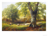 Sunshine in the Country