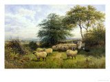 Buy Changing Pastures at AllPosters.com