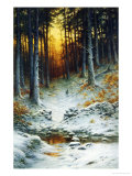 Buy Glowing Sunset at AllPosters.com