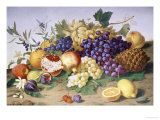 Still Life of Grapes, Pineapple, Figs and Pomegranates