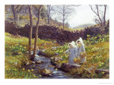 Buy Daffodils at AllPosters.com
