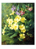 Spring Flowers
