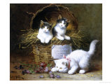 Basket of Mischief