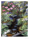 Buy Alpine Flowers by a Stream at AllPosters.com