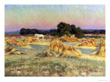 Buy Evening Shadows at AllPosters.com