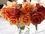 Rose Bouquet IV