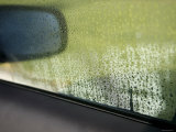 Buy Rain Reflections I at AllPosters.com