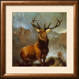 Monarch of the Glen