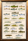 Great Lakes Sportman