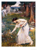Gathering Rosebuds